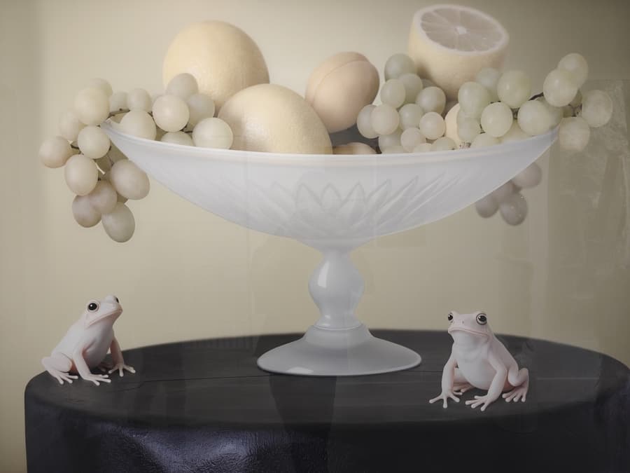 Олег Доу. Two frogs
