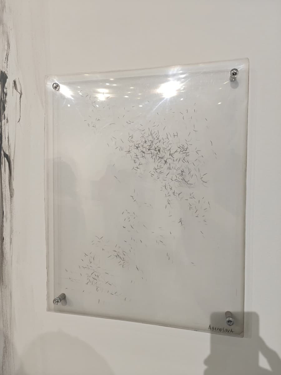 Юлия Агеносова. Колумбарий X