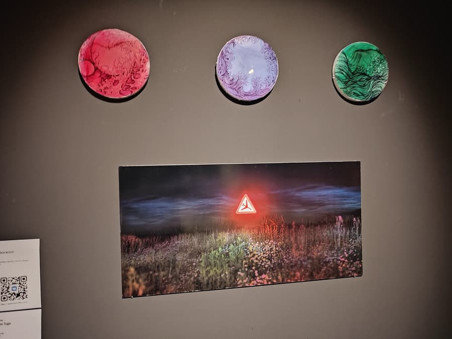 София Ильина (Kausofa). Collaboration