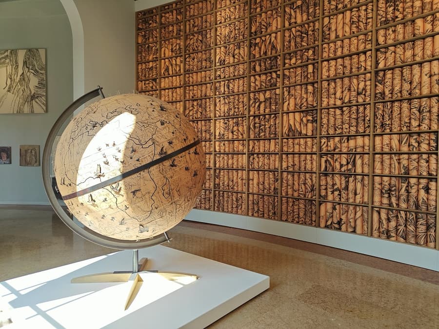 L'image du monde