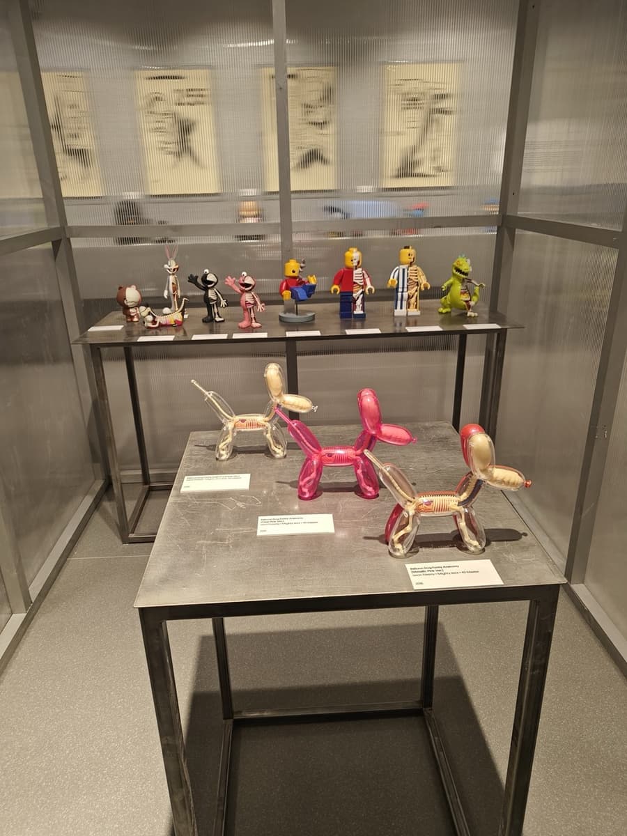Джейсон Фрини. Balloon Dog Funny Anatomy