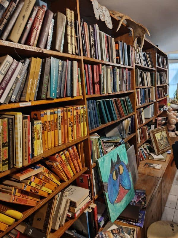 Плотные ряды старых книг на стеллажах, между ними прислонённые картины