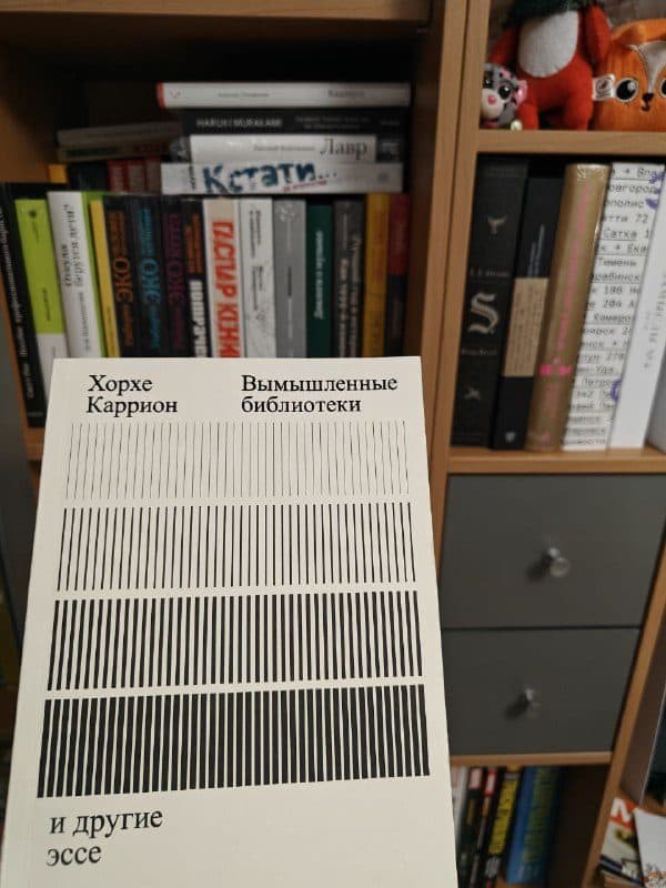 «Вымышленные библиотеки» Хорхе Карриона на фоне домашнего стеллажа