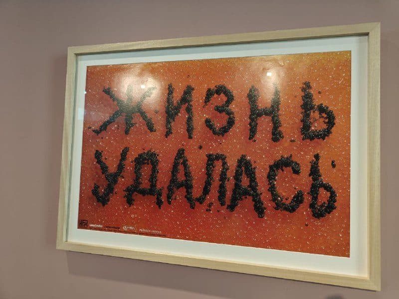 Работа «Жизнь удалась» — надпись чёрной икрой по красной