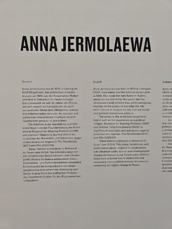 Титульная стена австрийского павильона с именем Анны Ермолаевой