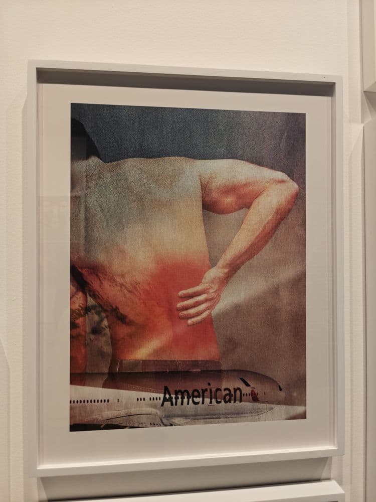 Фотография Нины Катчадурян «American Pain»: спина с красным пятном над самолётом American
