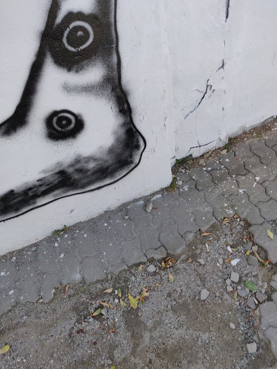 Работа с выставки