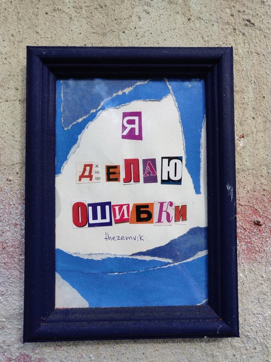 Вика Земкова. Я (не)делаю ошибки