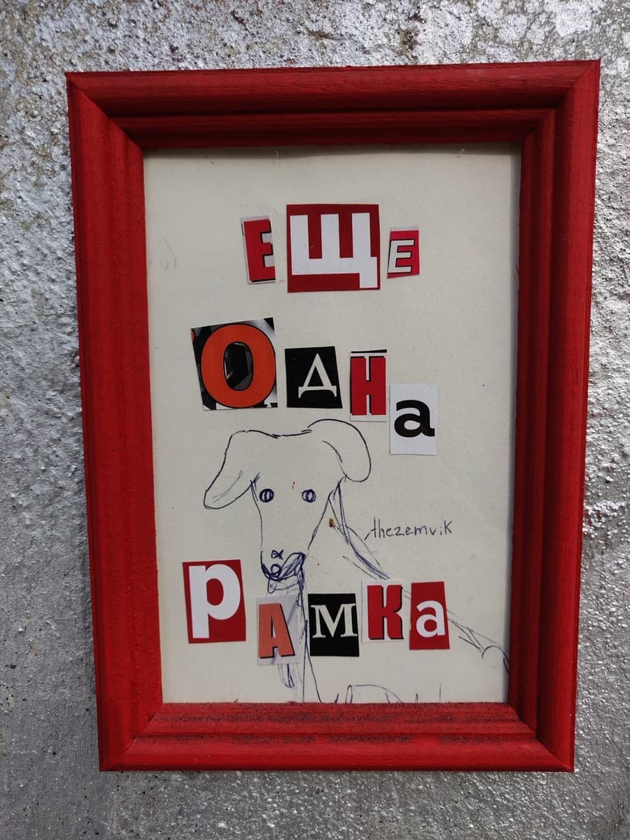 Вика Земкова. Ещё одна рамка