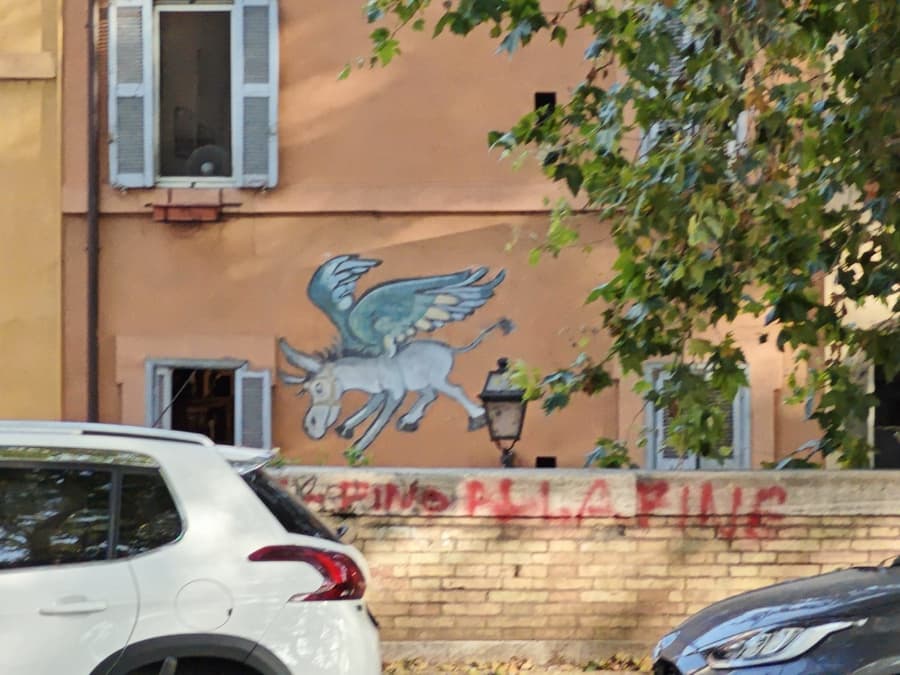 L'asino che vola (коллектив). L'asino che vola