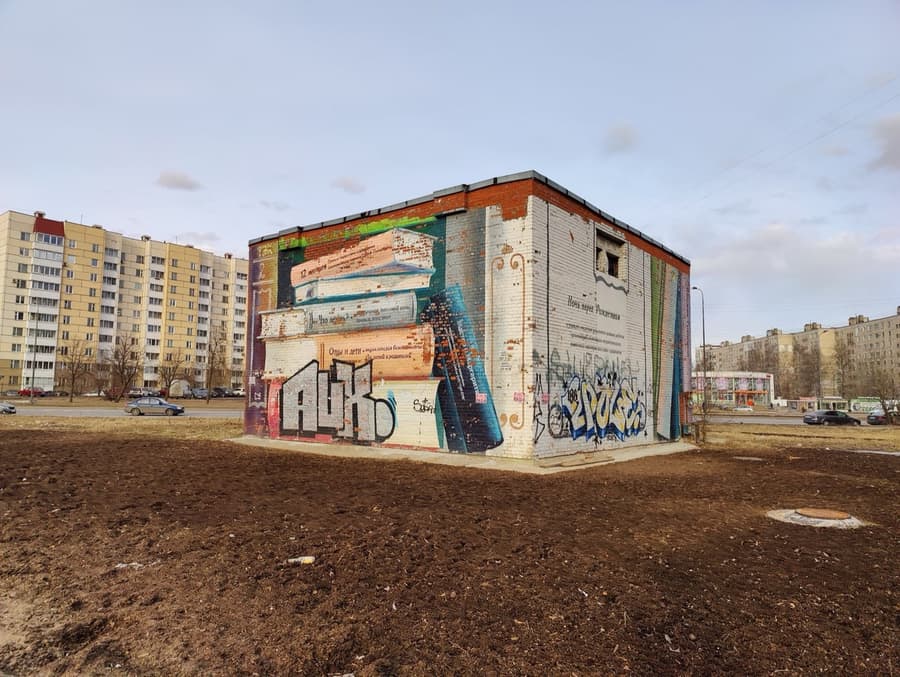 Уличное искусство: Санкт-Петербург, угол Российского пр. и Товарищеского пр., Невский район